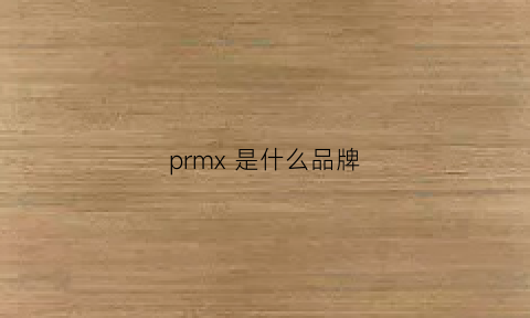 prmx是什么品牌(prmr是什么牌子)